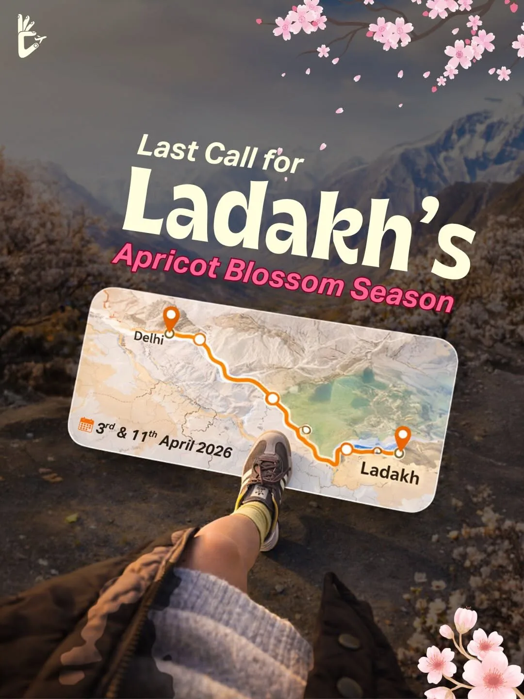 Travel to Ladakh - Apricot Blossom Season