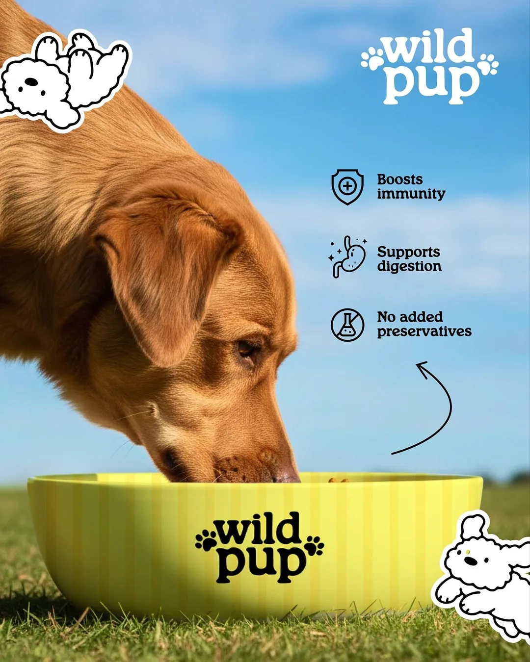 Lifestyle pet photo with benefit callouts