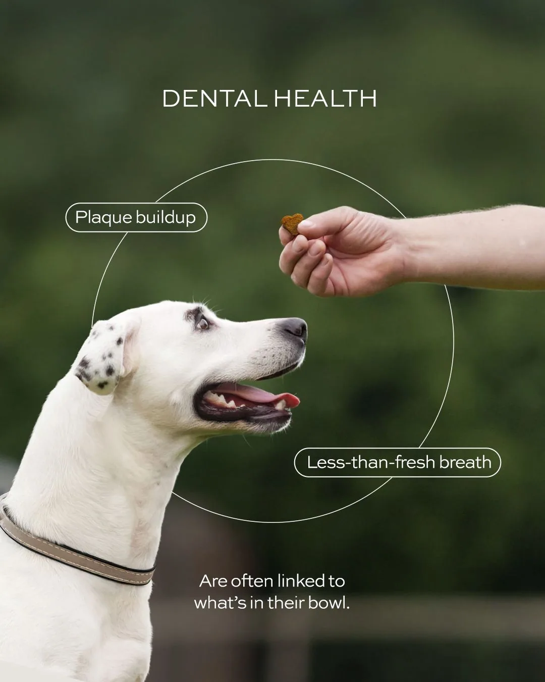 Editorial lifestyle photo with pill-label callouts