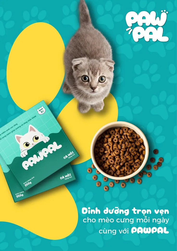 Kitten + product-pack pet hero