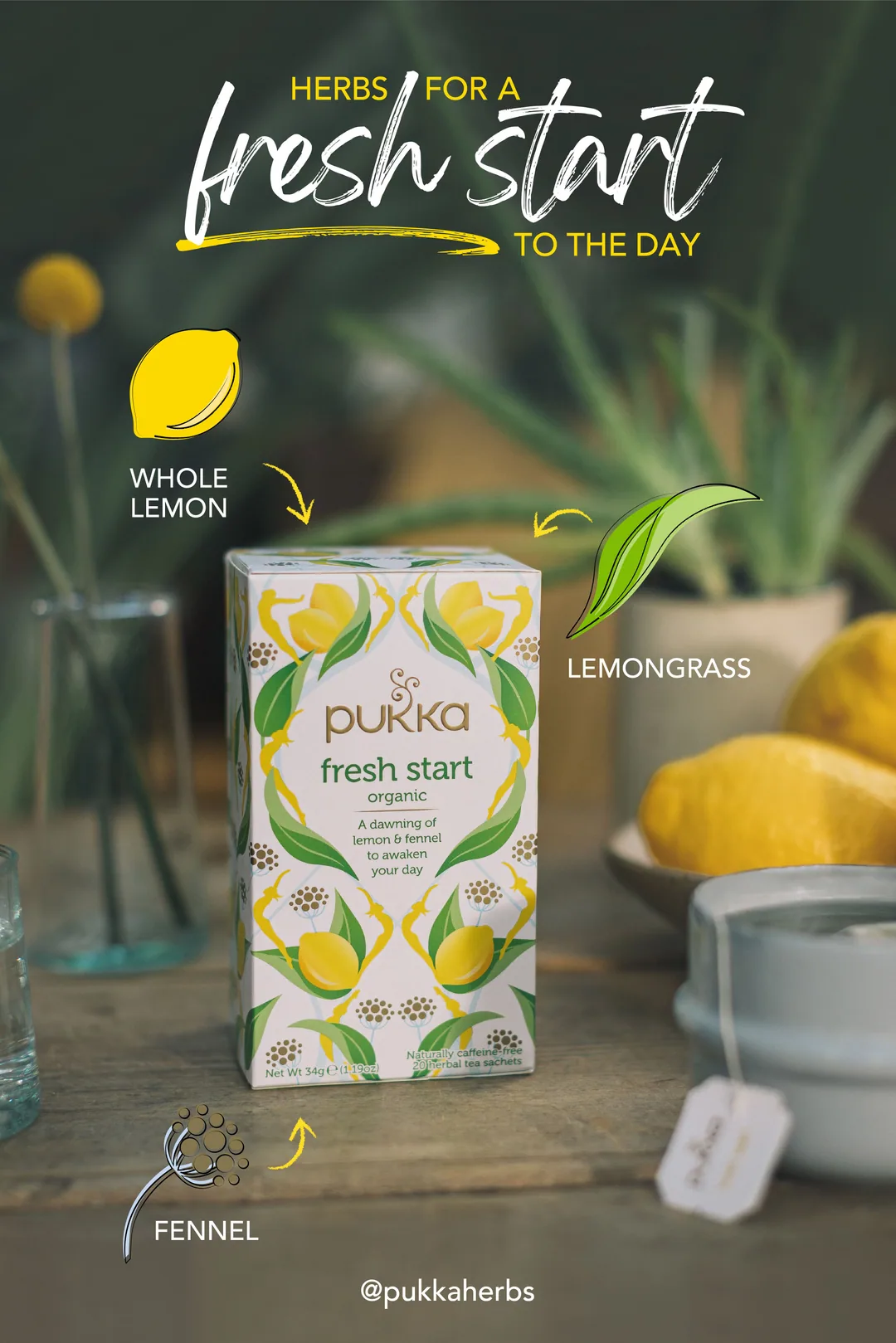Pukka tea — natural ingredients layout