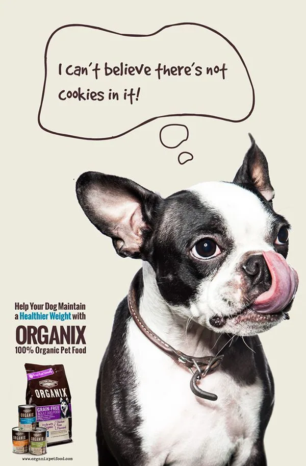 Pet portrait with hand-drawn thought bubble quote