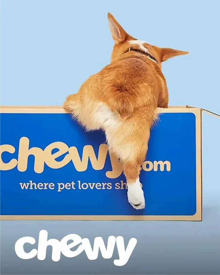 Pet climbing branded box hero