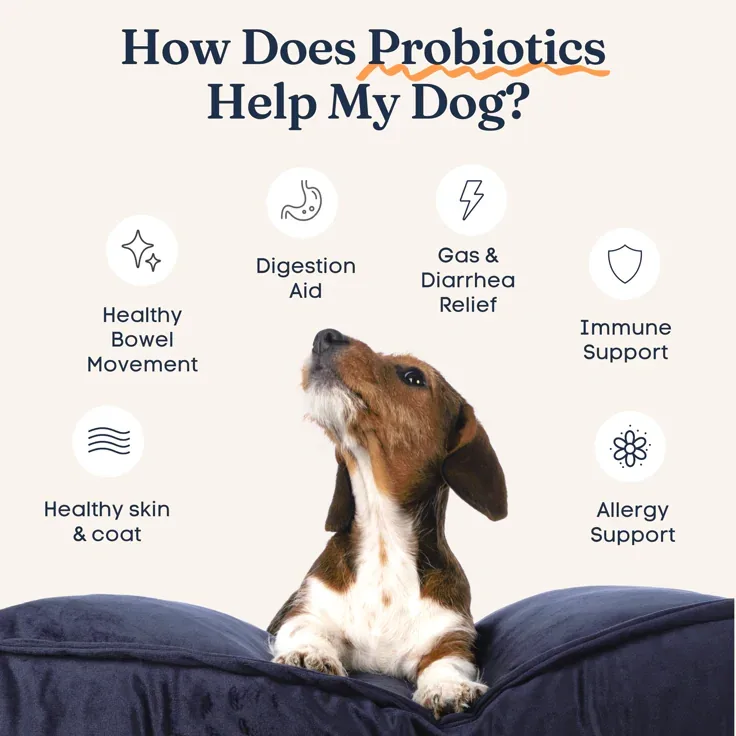 Centered pet with radial benefit icons and headline