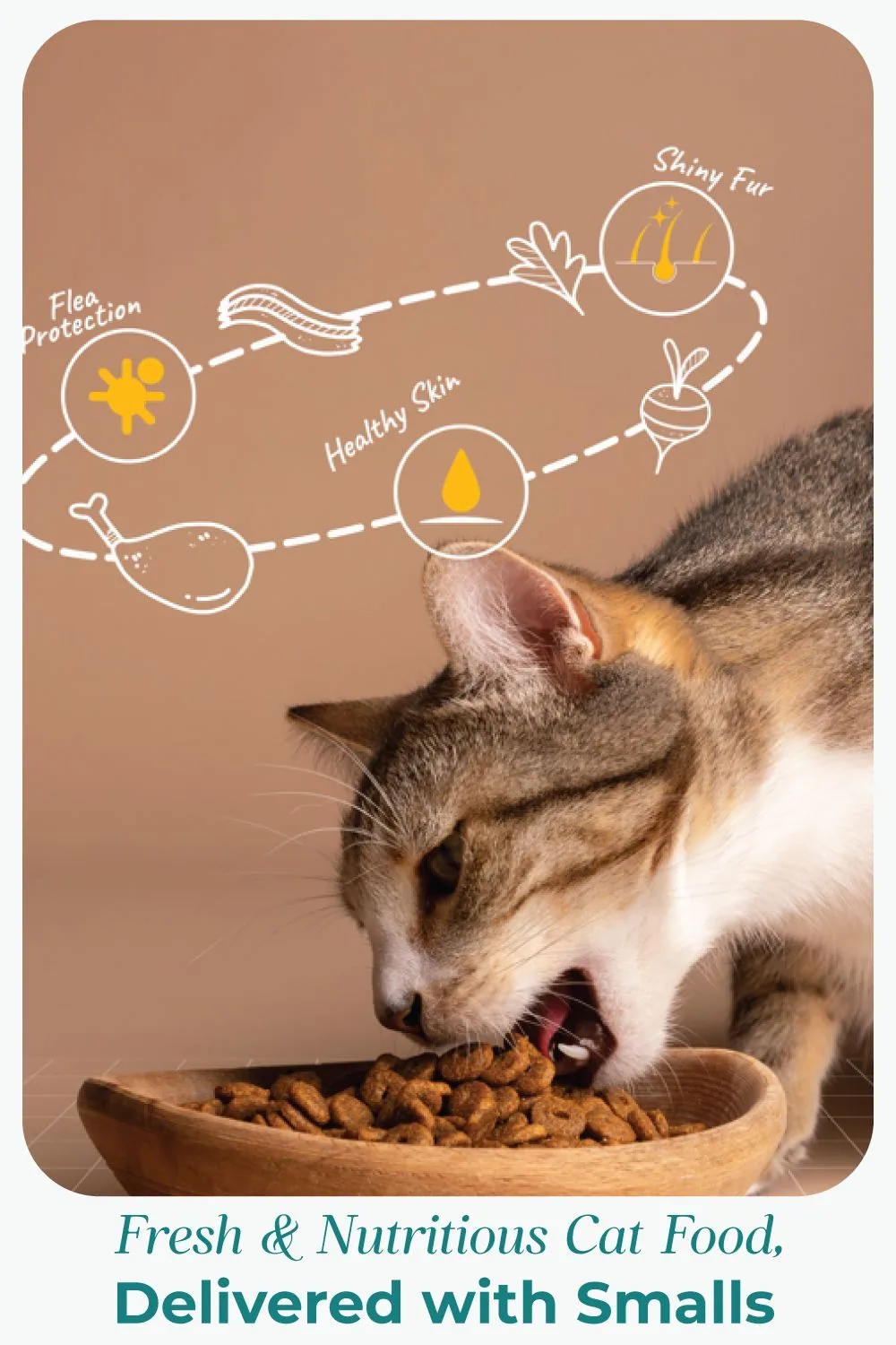 Cat eating with benefit-orbit callouts
